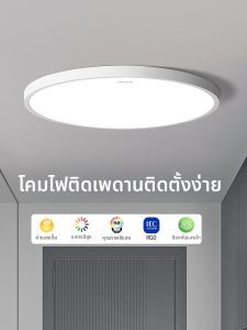 OSIZA | Modern Simple Multi-Use Lamp