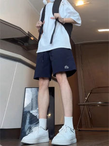 Quần Short Thể Thao Ice Silk Nhanh Khô Mùa Hè Mỏng Nhẹ Cho Nam Quần Dài Năm Điểm Thể Thao Ngoài Trời Quần Dài Năm Điểm