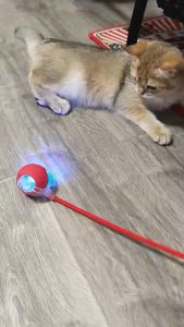 Automatic Cat Ball Rolling Cat Toys Ball Dog Toys Smart Interactive Toy Pet Dog Cat Training