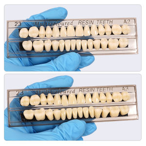 28teeth/box Resin Denture Teeth Comparator Mirror Dentistry Bleaching Dental Plate Research Full Mouth Dentistry Teaching Model
