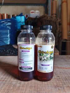 Madu MENTAH Madu Klanceng 1kg 100% Murni free Madu 100 gr