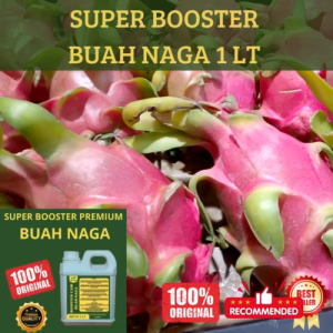 Pupuk Buah Naga 1 LT Supaya Cepat Berbuah Pupuk Buah Naga  Supaya Subur Berbuah Cepat Besar