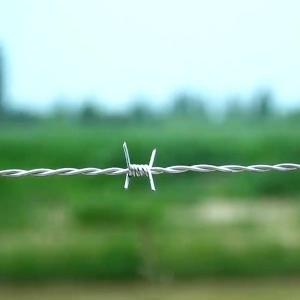 50/100 /200 Meters Iron Barbed Wire Roll Fence Barbed Wire Anti-climb Protect Fence Galvanized Anti-rust Stee Wire Used for pasture fencing fence guard