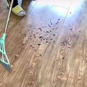 Multifungsi Scrapping Broom Original sapu ajaib tidak rontok PREMIUM IFN