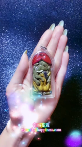 Thai Amulet 象食能護身牌 Chang Sap Neng Amulet