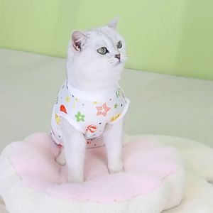 jumsuit ngừa rụng lông / Quần áo cai sữa - hỗ trợ phục hồi vết thương sau khi phẫu thuật - T3 PETS SHOP