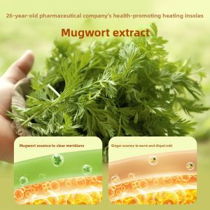 MONLEYTA | Heating Shoe Insoles Self-Heating Warm Feet Stickers For Men And Women Winter Warmth Self-Heating Shoe Inserts Man Li Ta Brand