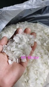 Buatan Rumah Sisik Ikan Siakap Home make 居家自制 野生 鱼鳞片 / 食甲鱼鱼鳞 / 鱼鳞冻 / 胶原蛋白 /Fish Scale /Sisik Ikan Siakap