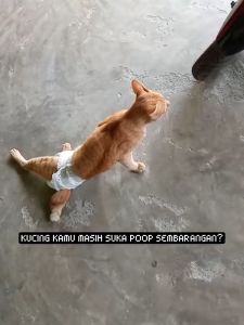 Gratis Semua - Kotak Pup Kucing + Sekop / Bak Kotak Pasir Kotoran Hewan Bonus Sekop / Paket Litter Box + Sekop