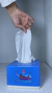 Hộp đựng giấy lau phổ thông - chất liệu nhựa giá thành rẻ