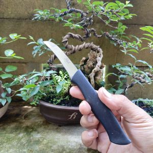 pisau okulasi Grafiting Bonsai