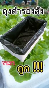 ถุงดำรองลังกล่องโฟมขนาด 30 x 5 x 23 นิ้ว หนา 0.10 ไมครอน ให้สุขภาพดีและปกติและเป็นเครื่องมือที่แท้จริง