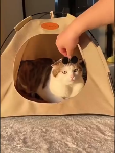 Pet Tent Bed  Pet House Cat Dog Tent Bed Contain Mat Foldable Waterproof Portable Home Bed for Pet