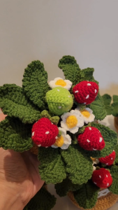 [SG Ready Stock]Teachers Days Gift Finished Product Hand Made Crochet Flowers/Strawberries Potted Plant