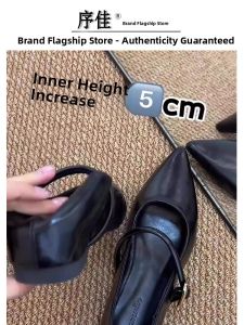 XUJIA | French Elegant Internal Heightening Pointed Single Shoes