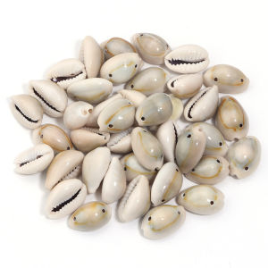 50g/lot With Hole Natural Seashell Beads Charms Loose Spacer Beads For Jewelry Making DIY Crafts Necklace Bracelet Bohemian