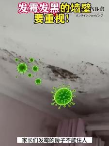 Mold remover Japanese formula mold remover spray Stain and mold remover effectively removes various types of mold mold remover wall 牆體除霉劑500ML