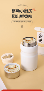 WE 3855 = 不锈钢焖烧杯 Stainless Steel Stewing Cup ☞ 500ml #Random Color