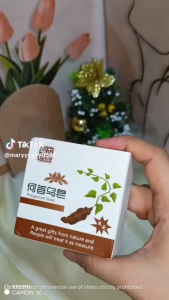 STORY TREE 何首乌洗发皂 Herbal Shampoo Bar Oil Control Anti-Dandruff Scalp Care Syampu Herba
