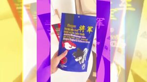 Shogun Project X Balance Color อาหารปลา โชกุน สูตรเร่งดำ