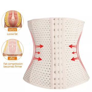 25cm Waist Cinchers Ladies Corset Shaper Band Body Building Front Buckle 3 Breasted Dropship Support