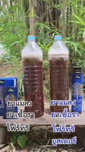 4Tree + Booster คู่หูพลัง x4 อาหารเสริมพืช บำรุงยางพารา น้ำยางล้นถ้วย พลังดูดซึมไว สารสกัดไคโตซานธรรมชาติ 100% ผลิตภัณฑ์ที่น่าสนใจ