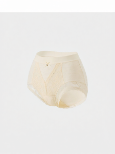 Mybody | Lace Breathable Shaping High Waist Panties