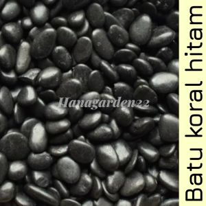 BATU KORAL PUTIH 1KG Cocok Untuk Hiasan Tanaman Pot Dan Taman