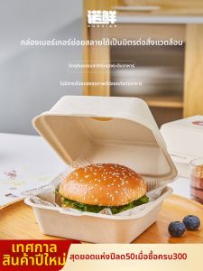 NUOXIAN | Paper Pulp Disposable Meal Box