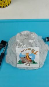 Giao nhanh 2h Bộ đồ chơi Đào Hóa Thạch Khảo cổ hình núi lửa phun trào xương hóa thạch khủng long và đá màu. (Kèm Bộ dụng Cụ)