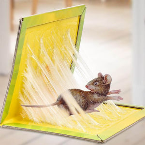 SUPER STRONG BOND TRAP Mouse Trap Glue Board Cockroach Lizard Mouse Trap / Papan Gam Perangkap Tikus