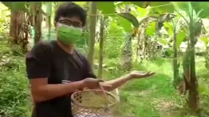 【Free Rope】Chicken Net Fence Net 20/50/100M Thicken Chicken Net For Chicken Lambat Outdoor Poultry Net Fishing net Ranging