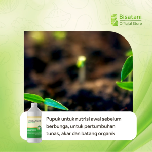 Hainut Daun 1 Liter Pupuk Mempercepat Pertumbuhan Tunas Akar Batang  Daun Tanaman Pupuk Tanaman Cepat Subur Pupuk Tanaman Serba Guna