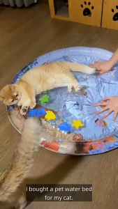 Cooling Pet Water Bed Cushion Baby Inflatable PVC Play Mat Washable Ice Pad Foldable Cooling Mat