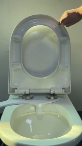 5Pcs Toilet Seat Bumper Durable Anti-Aging Toilet Shock Absorption Cushioning Pads Round/Long