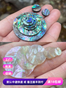 Natural Seafood Abalone Shell: A Guide to DIY Craft Materials