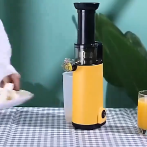 Máy Ép Chậm Mini Ép Trái Cây Rau Củ Mini ALIZZ AL-13833 Máy Ép Hoa Quả Nhỏ Gọn Tiện Lợi.