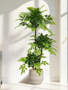 Luxurious Happiness Tree Indoor Decorative Plant