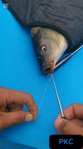 PKC Fishing Hook Quick Removal Device 17.5Cm Security Extractor Stainless Steel Hook Detacher Removal Fishhook Disgorger