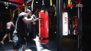 UFC MMA Heavy Bag 80lb