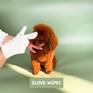 Buy 1 Get 1 Free: Pet Grooming Glove Wipes for Dogs & Cats