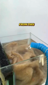 Aquarium Filter Sock & Mat | Reusable Filter Bag | Penapis Akuarium | 鱼缸过滤袋 | For All Fish Tank Filter System