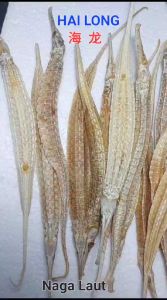 Hai Long 100 Gram 大海龙 Naga Laut Kering