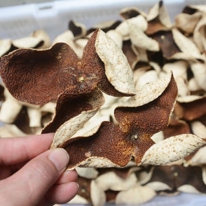Authentic Guangdong Speciality Newui Old Tree Chinesepineapple Peels Genuine Traditional Snack Dried Fruit Skin Bagasse Tea