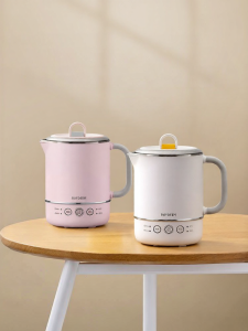 BUYDEEM | Portable Stainless Steel Electric Kettle 316