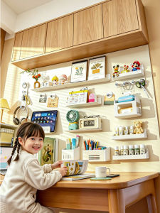 LOCIKA | Magnetic Replacer Backplate Organizer