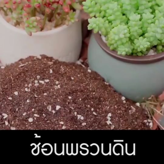 Newyorkbigsale ช้อนพรวนดิน พลั่วพรวนดิน No.KS207