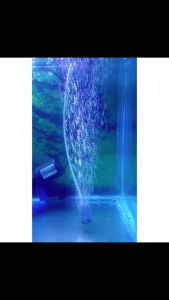 BATU AERATOR AQUARIUM 1CM 2CM 3CM 5CM BATU GELEMBUNG UDARA L1 L2 L3 L5
