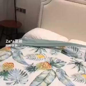 Chăn Hè Thu Zara Home Chất Đũi nhẹ mát Mẫu mới kích cỡ 2x2m3cm Giao màu ngẫu nhiên