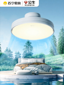 Bull | Bull Leafless Fan Light 2025 New Style Bedroom Integrated Invisible Ceiling Fan Light Modern Luxury Home Decor Lighting